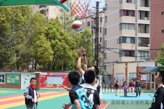 哪里能找到关于智能球衣在篮球训练中应用的信息_0